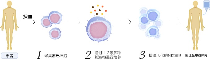 細胞免疫治療流程