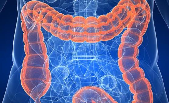 藤田醫(yī)科大學(xué)消化外科教授談日本結(jié)直腸癌的現(xiàn)狀